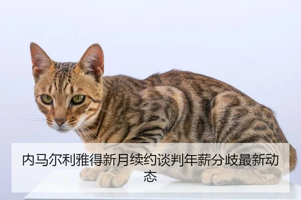 nei-ma-er-li-ya-de-xin-yue-xu-yue-tan-pan-nian-xin-fen-qi-zui-xin-dong-tai-2-209.jpg