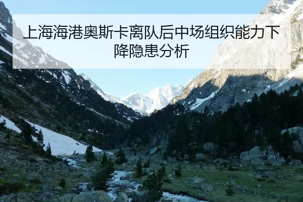 shang-hai-hai-gang-ao-si-ka-li-dui-hou-zhong-chang-zu-zhi-neng-li-xia-jiang-yin-huan-fen-xi-1-990.jpg