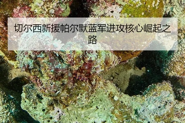 qie-er-xi-xin-yuan-pa-er-mo-lan-jun-jin-gong-he-xin-jue-qi-zhi-lu-1-204.jpg