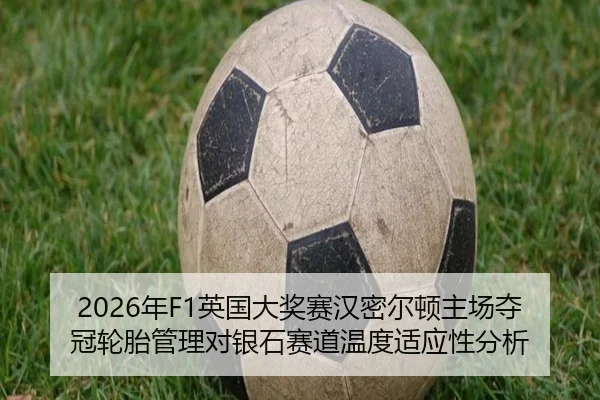 nian-ying-guo-da-jiang-sai-han-mi-er-dun-zhu-chang-duo-guan-lun-tai-guan-li-dui-yin-shi-sai-dao-wen-du-shi-ying-xing-1-104.jpg